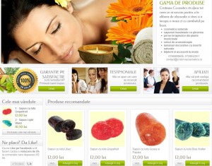 afacere-magazin-online-300x235