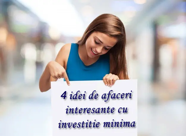 afaceri mici pe internet cu investiții minime)