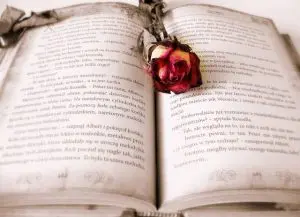 carte deschisa cu un trandafir uscat