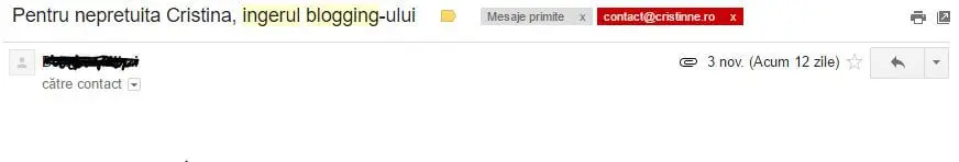 cristinne-ingerul-bloggingului