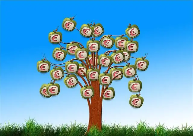 cum sa economisesti
