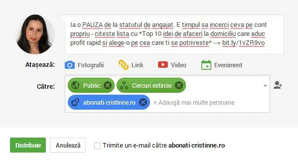 exemplu postare google plus.png