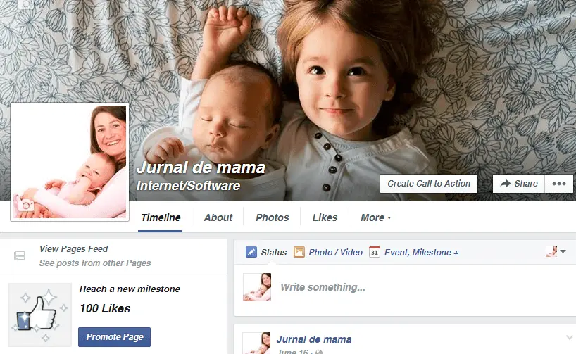 pagina facebook jurnal mama
