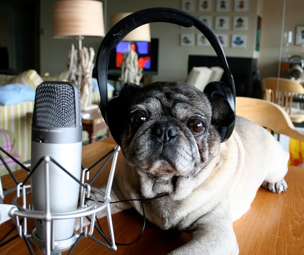 podcast
