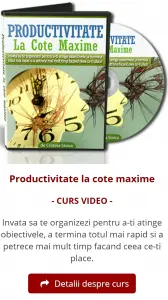 productivitatemaxima