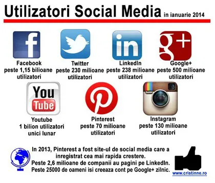 statistici social media 2014