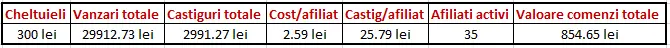 statistici vanzari afiliati ladys
